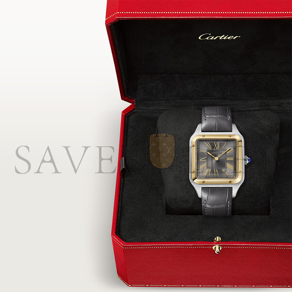CARTIER SANTOS-DUMONT 44MM WATCH W2SA0028